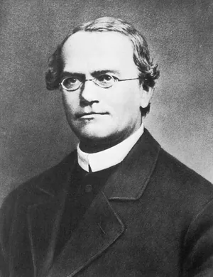 Gregor Mendel